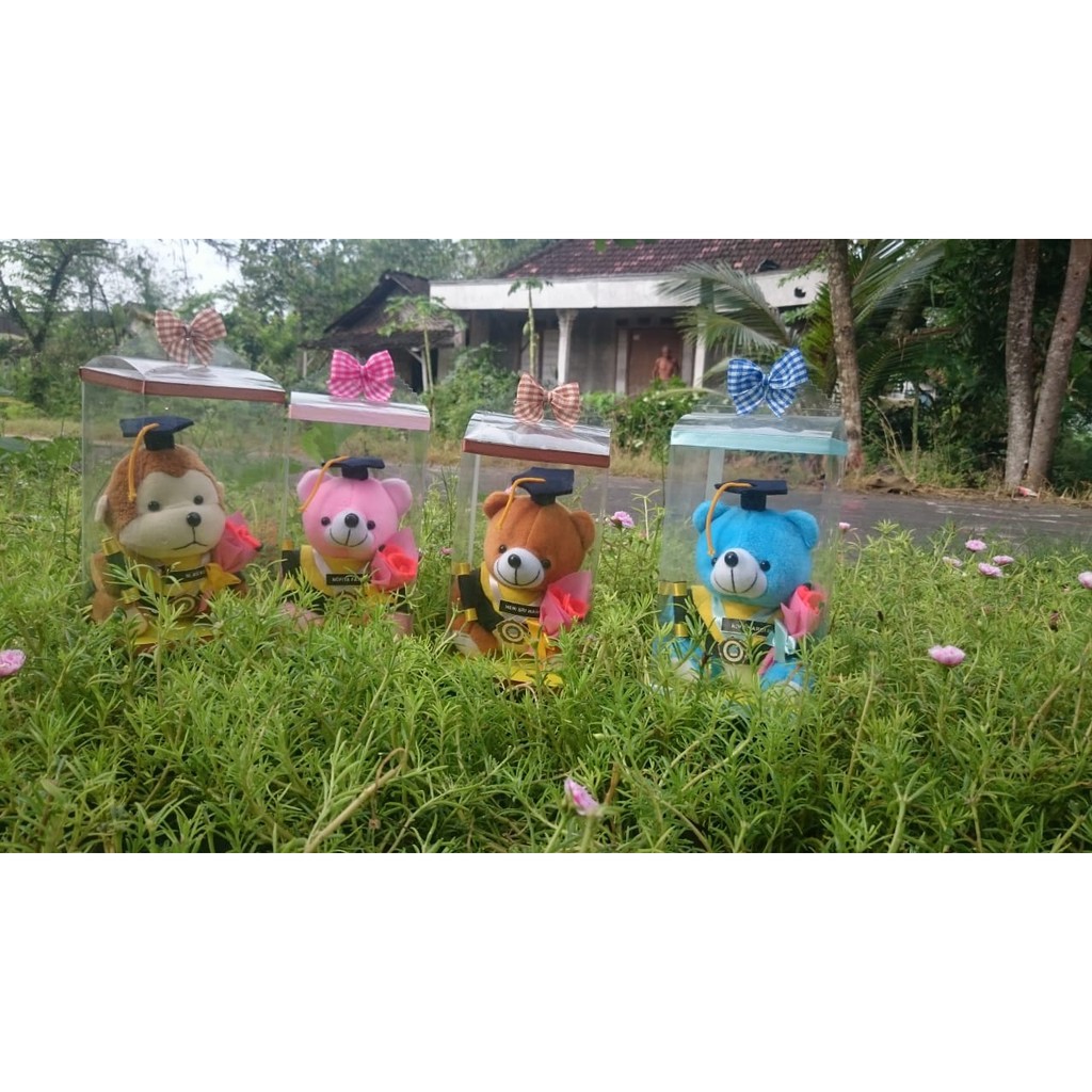 Boneka wisuda custom logo + nama + packaging mika