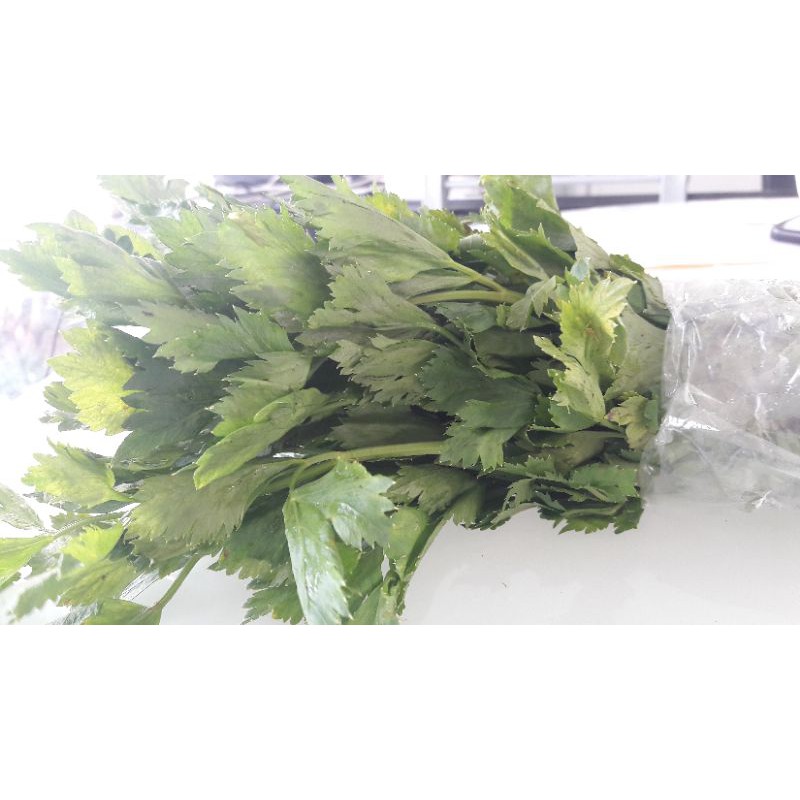 

DAUN SELEDRI 250gr