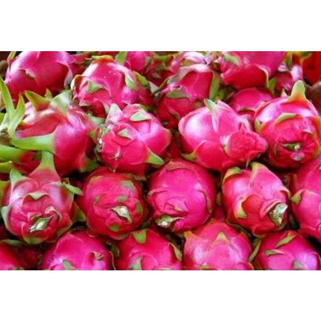 

Buah Naga Merah Segar