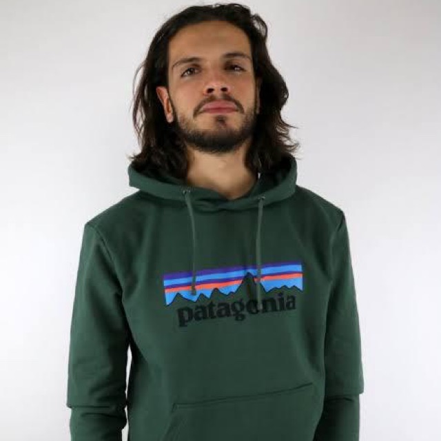 Hoodie patagonia