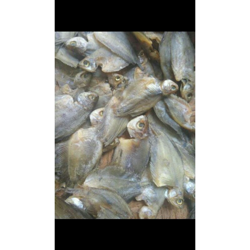 

Ikan Sepat Kecil