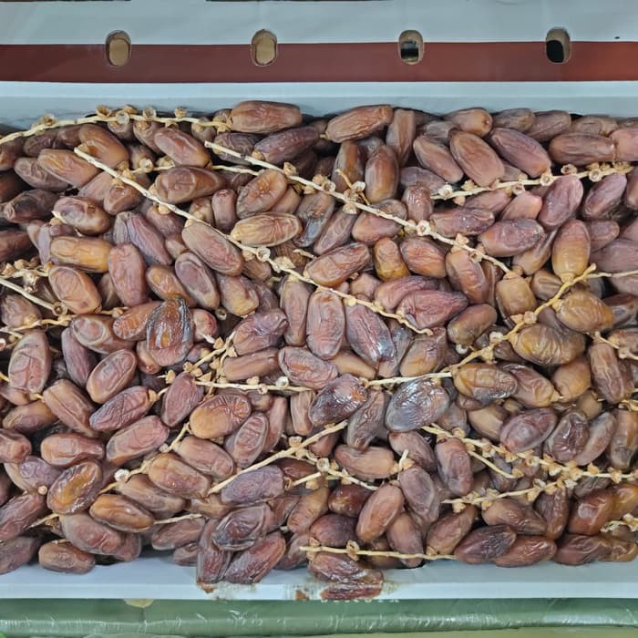 Kurma Tunisia Tangkai  sun fruit isi 5kg