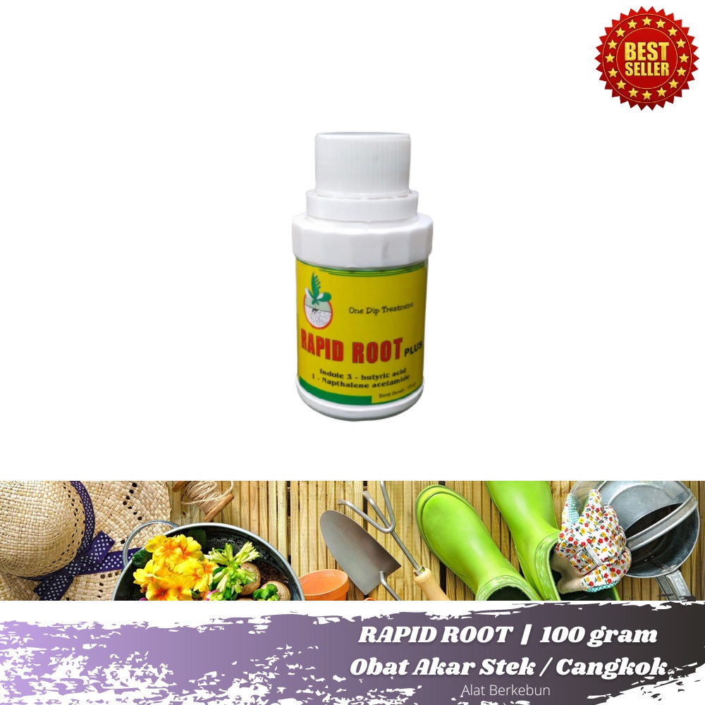 Obat Cangkok Stek RAPID ROOT