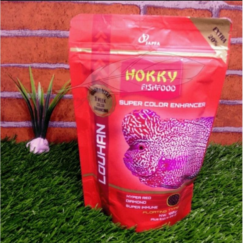 hokky lohan color makanan ikan lohan hokky color lohan