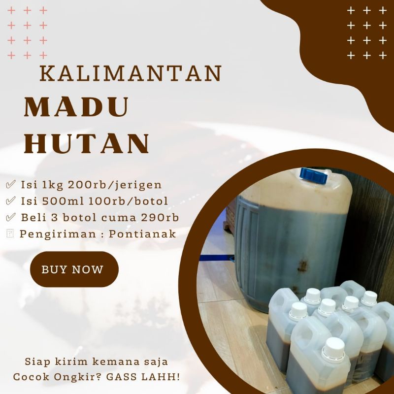 

Madu Hutan Asli Kalimantan