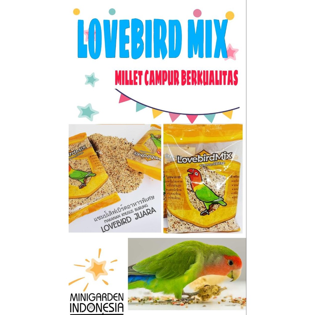 PAKAN BURUNG BIJI MILET LOVEBIRD MIX IMPORT organic milet campur berkualitas tinggi protein serat