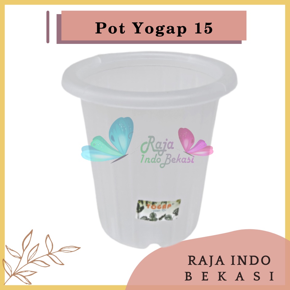 Pot Yogap 15 Transparan Bening Clear Diameter 17cm  Pot Tinggi Tebal Berkualitas Grosir Pot Yogap 10 13 15 17 18 Putih Transparan Bening Coklat Bata Murah