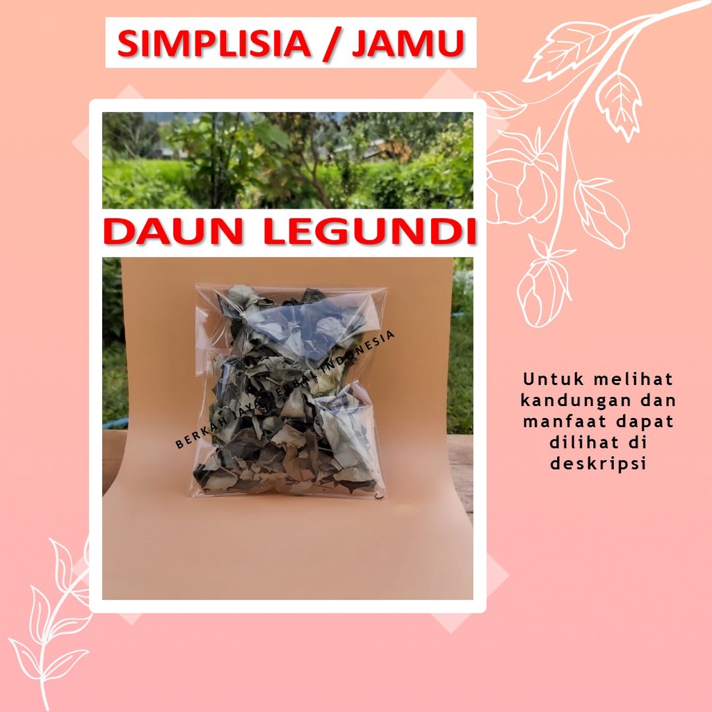 

Daun Legundi bahan Jamu godog godok rebus simplisia nyeri sakit kepala penurun demam