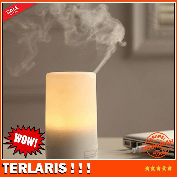 Pelembab Udara Humidifier Ultrasonic