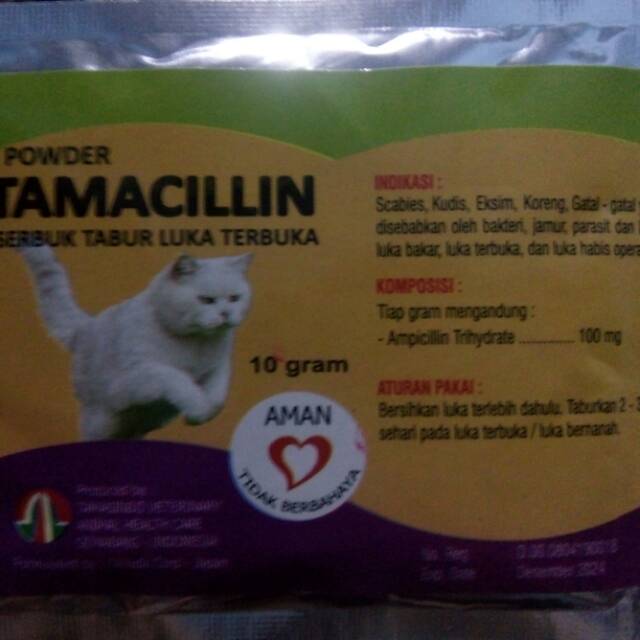 Obat Luka Kucing Luka Bakar Luka Luar Luka Cakaran Luka Bernanah Shopee Indonesia