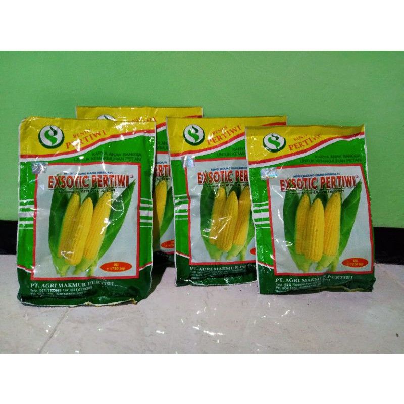 Jagung Manis Exotic Pertiwi Hibrida 1750 butir