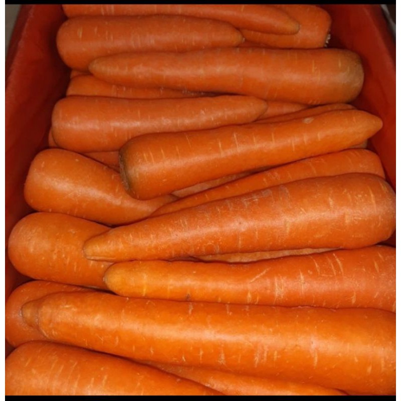 

Wortel segar/wortel manis brastagi/sayur box online 500 gram