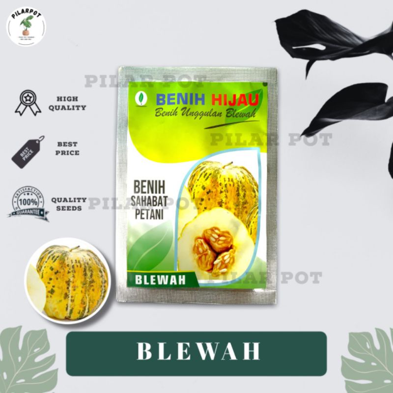 benih bibit buah blewah kemasan benih hijau - BENIH HIJAU BLEWAH