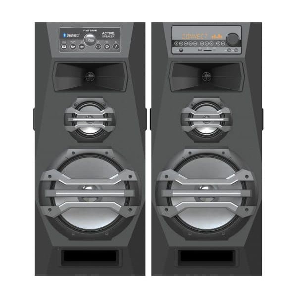 Polytron PAS2A15 - Active Speaker