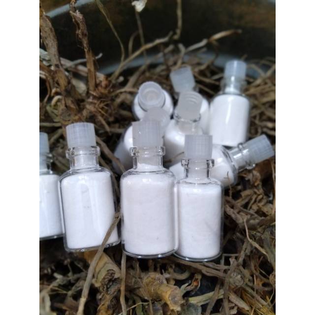 

Bubuk Putih pengantin