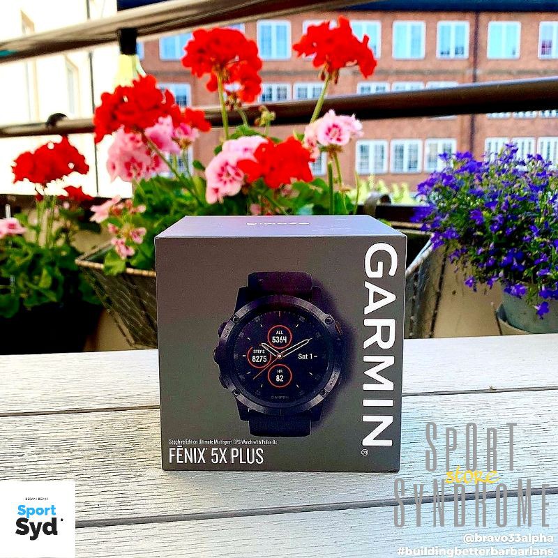 FLASH SALE JAM TANGAN GARMIN FENIX 5S PLUS SAPPHIRE BLACK