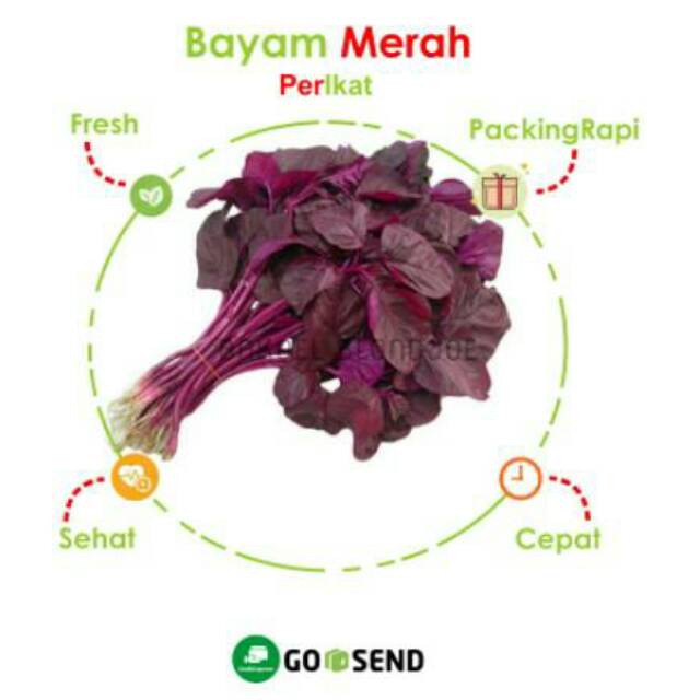 

BAYAM MERAH 1 IKAT / SPINACH / FRESH VEGETABLES / VEGETABLE / SAYUR SAYURAN SEGAR