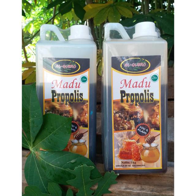 Madu Plus Propolis Al-Qubro
