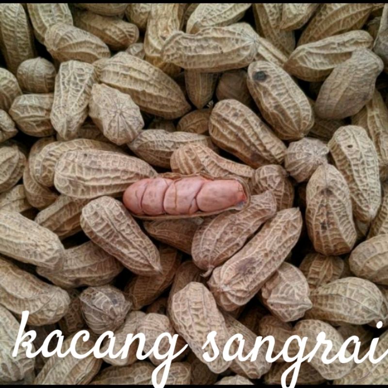 

KACANG SANGRAI ORIZINAL..