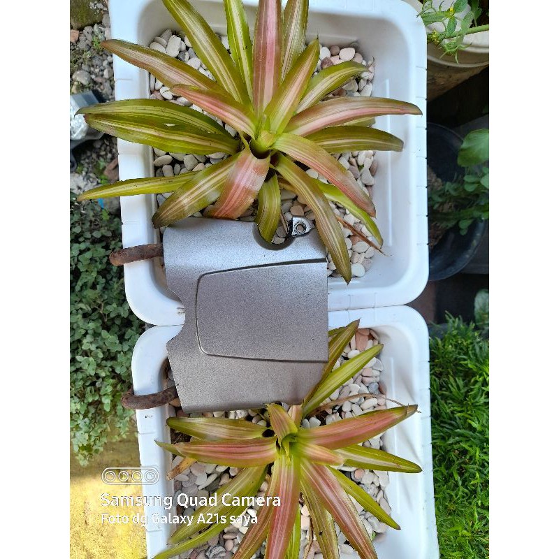 tutup gir depan honda megapro