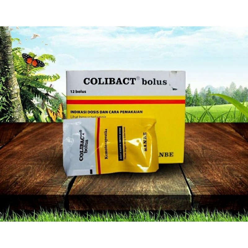 COLIBACT BOLUS