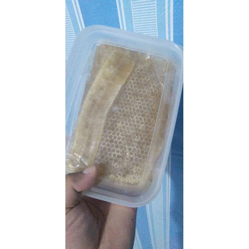 

Madu sarang honey comb 250 gr