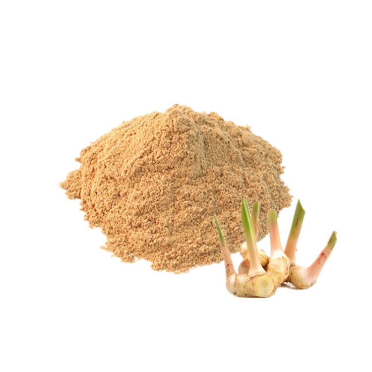 Lengkuas Laos Bubuk Organik Murni 100% 50 Gr - Pure Galangal Organic Extract Powder