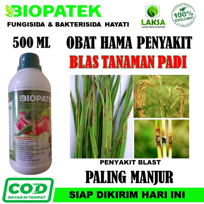 [MURAH BANGET] BAKTERISIDA BIOPATEK 500 ML Obat Blas Padi - Obat Semprot Atasi Penyakit Blas Padi - 