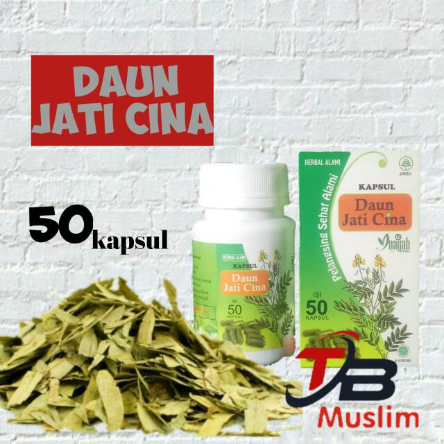 

KAPSUL DAUN JATI CINA
