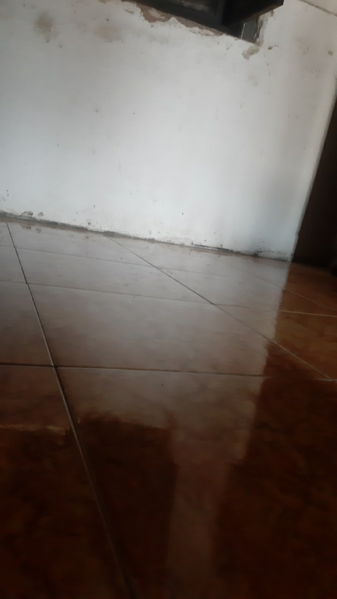 Jaring Ayam Lebar 1,2 Meter Jaring Pagar Ayam - Jaring Kandang Burung Jaring Pagar Tanaman