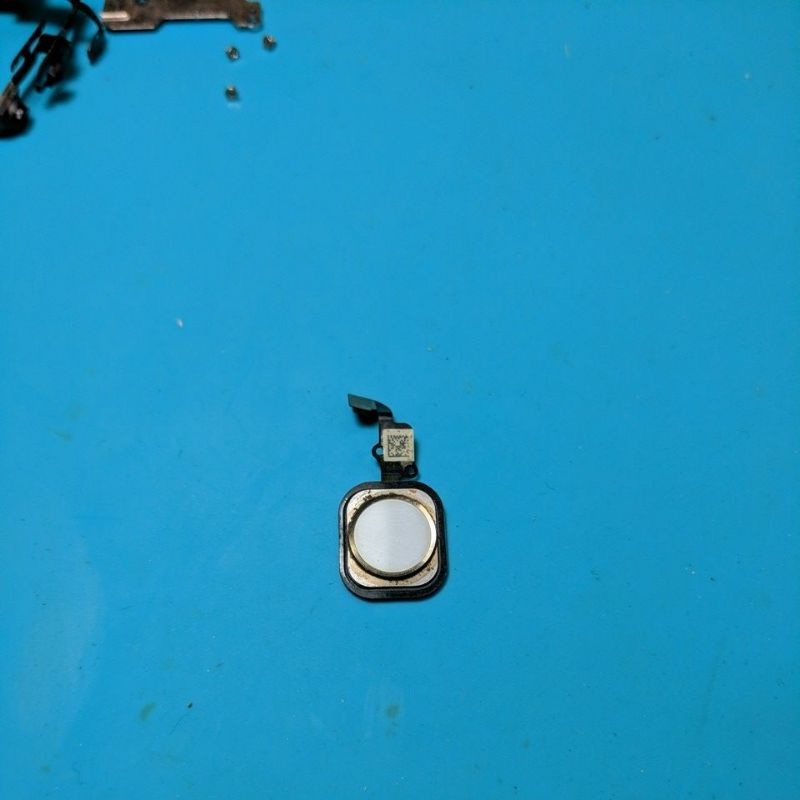 Tombol Home / Home Button iPhone 6G/6Plus Original 100%