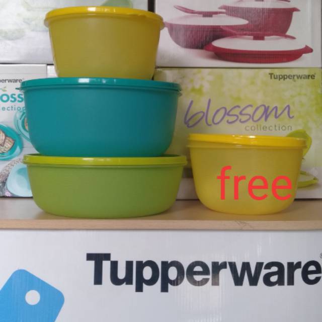 Tupperware modular bowl set 3,harga normal 500 diskon 50% jdi 250