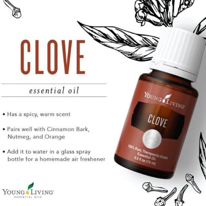 ( SEGEL ) Young Living Essenstial Oil CLOVE 15 ML - YL CLOVE 15ML