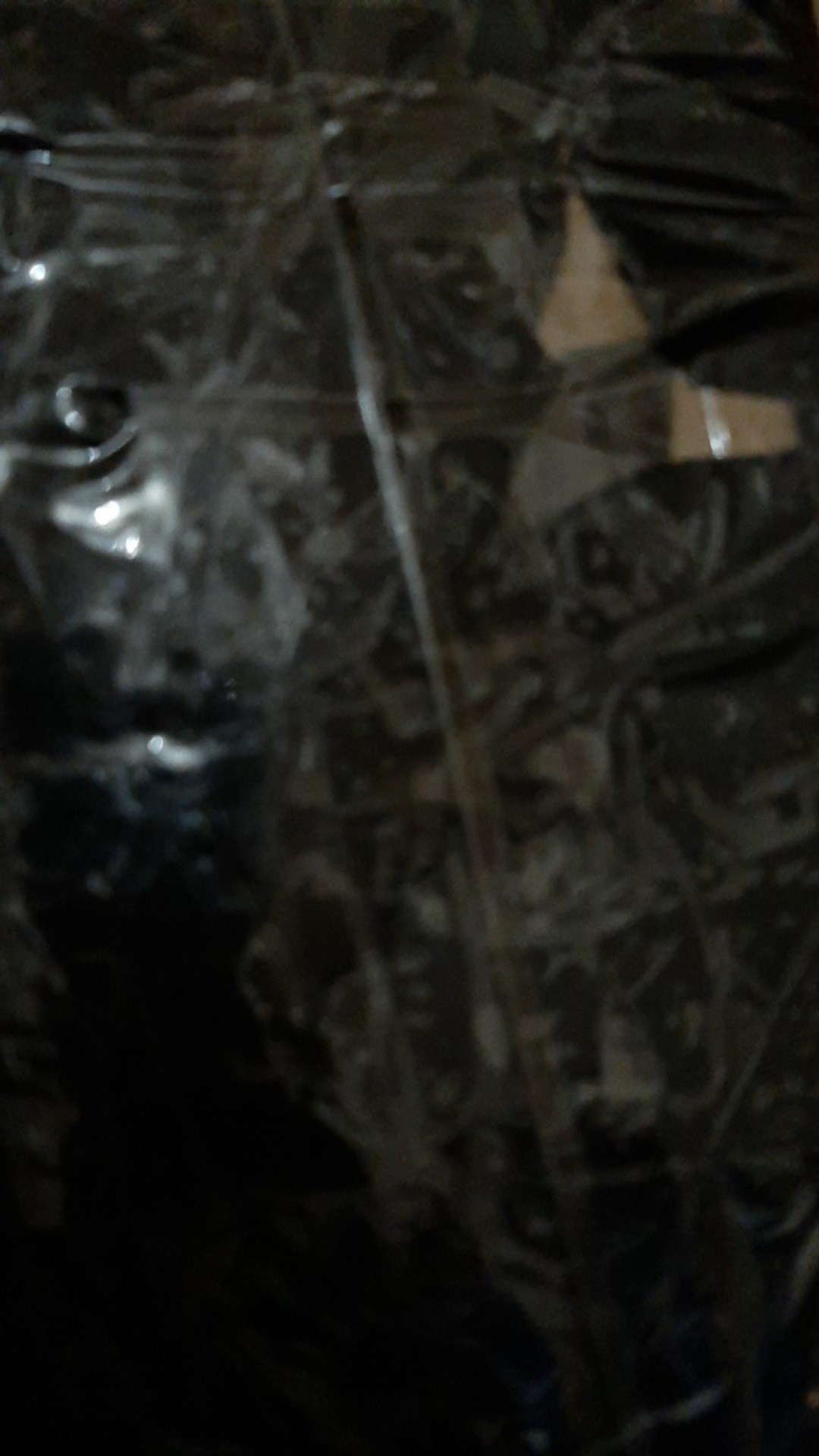 Paku Payung Kecil Pines / Thumb Tacks