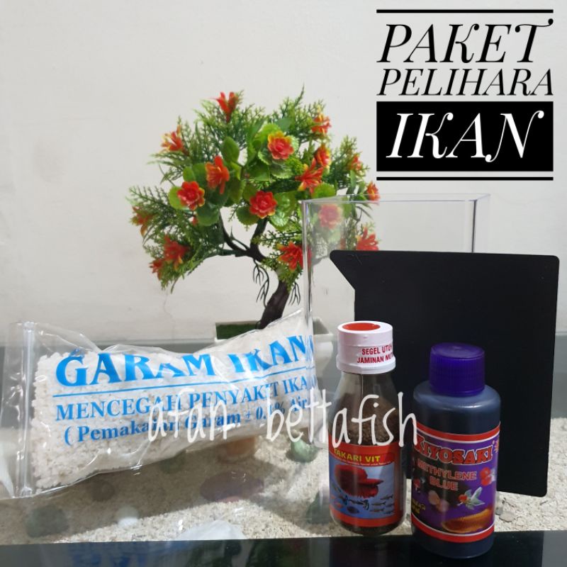 PAKET PEMULA Pelihara Ikan Cupang/Guppy/ Ikan Hias