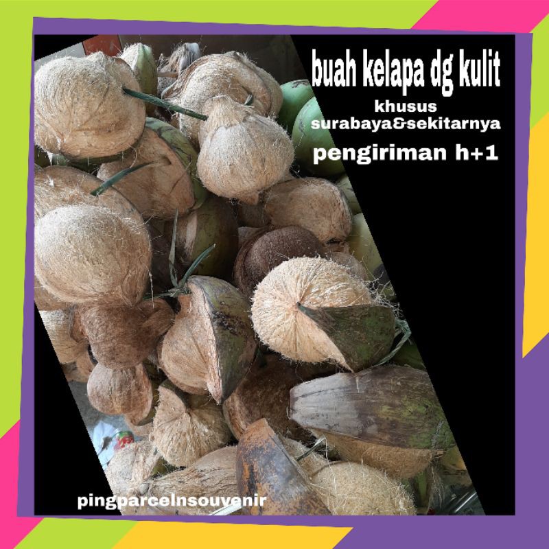 

buah kelapa dengan kulit || sayur online murah surabaya