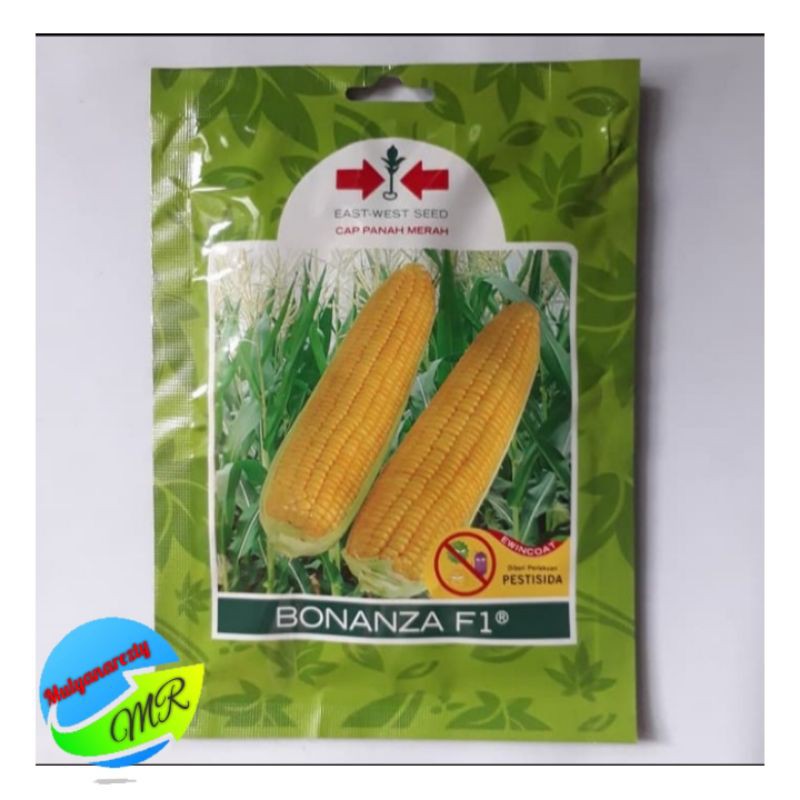 Benih Bibit  Jagung Manis BONANZA F1 panah merah