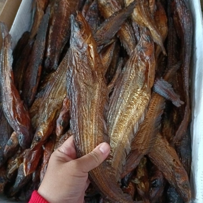 

Ikan Asap - Ikan Lais Salai (500G) Ikan Asap Kalimantan/Ikan Sale/Salai Ikan Lais