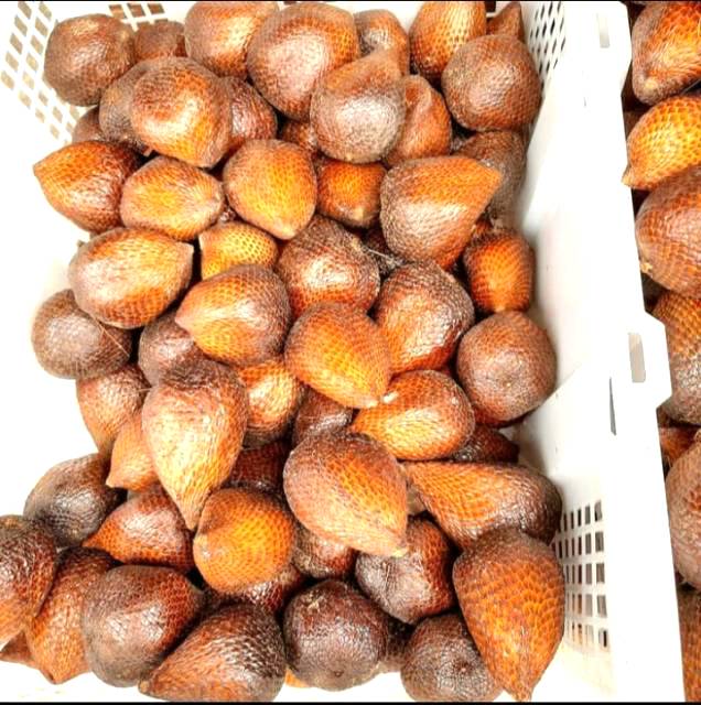 Salak pondok manis