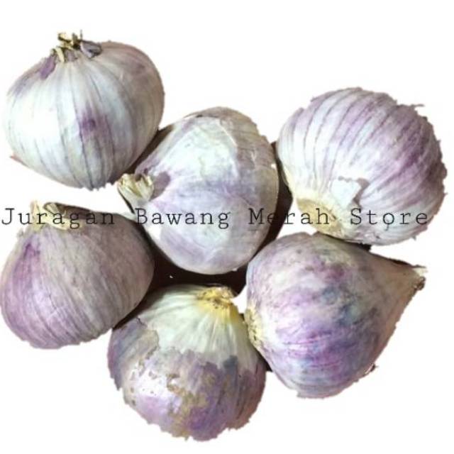 

bawang putih tunggal 1/2 kg