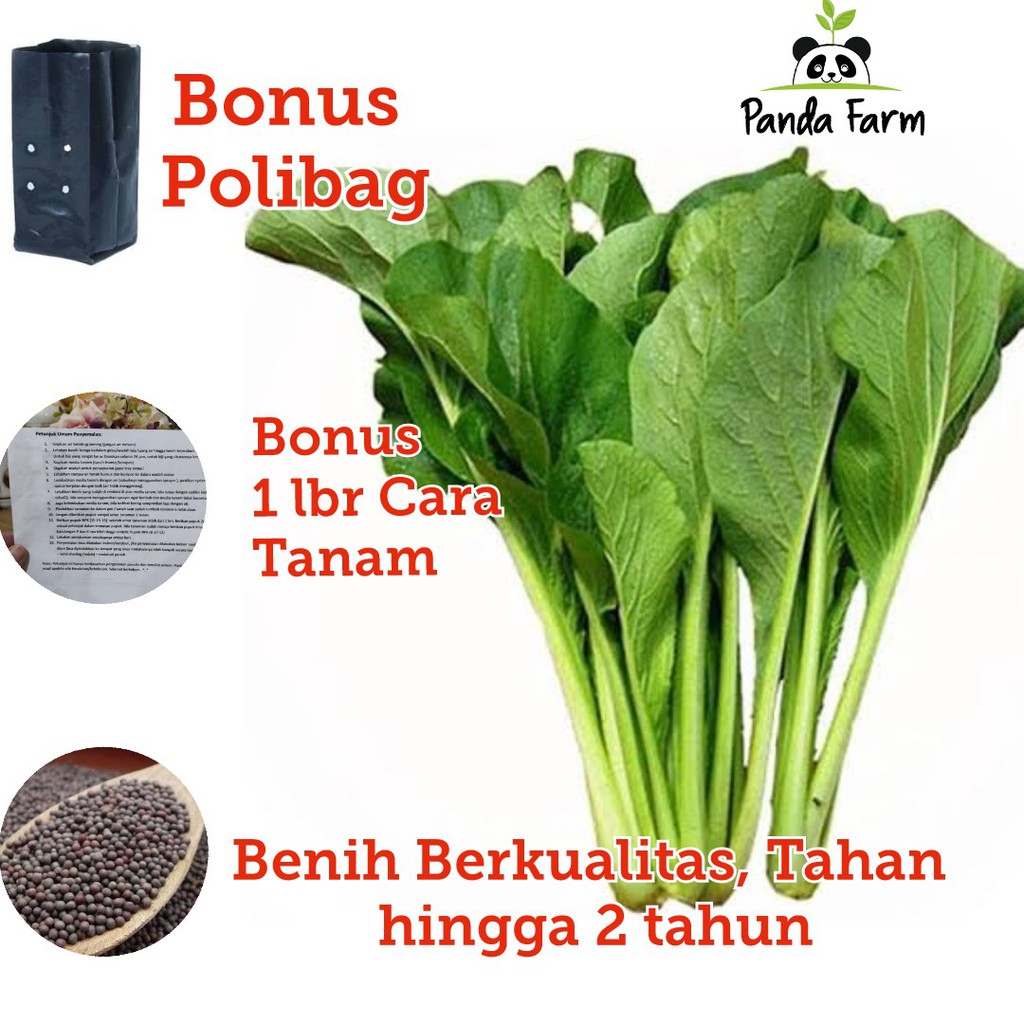 Benih Biji Bibit Unggul Lokal Sawi Hijau Caisim Toleran jamur | Shopee