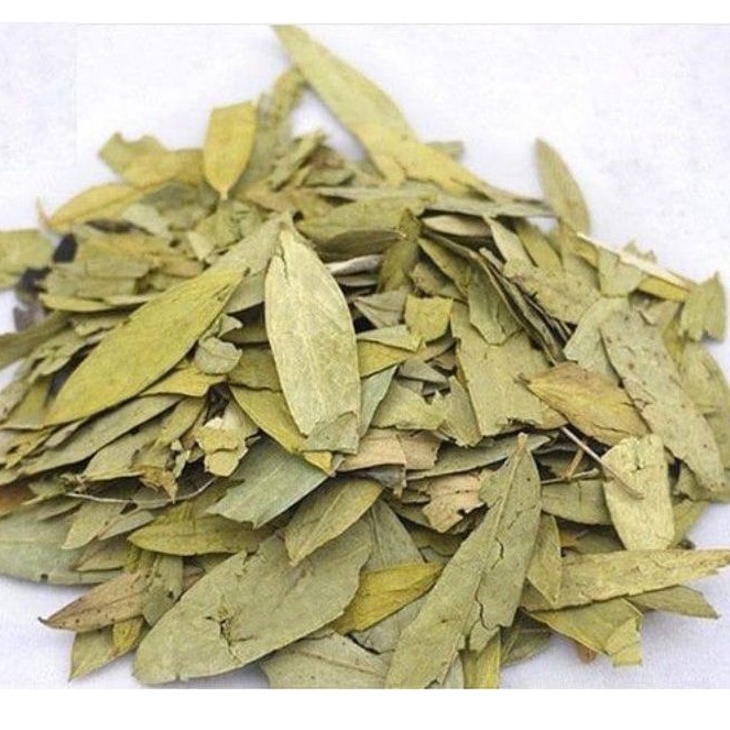 

Daun Jati Cina - Kering - 100 gr