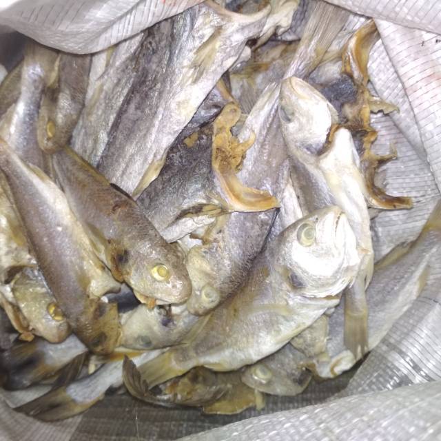

Ikan asin kepala batu/gulama UTUH 500g