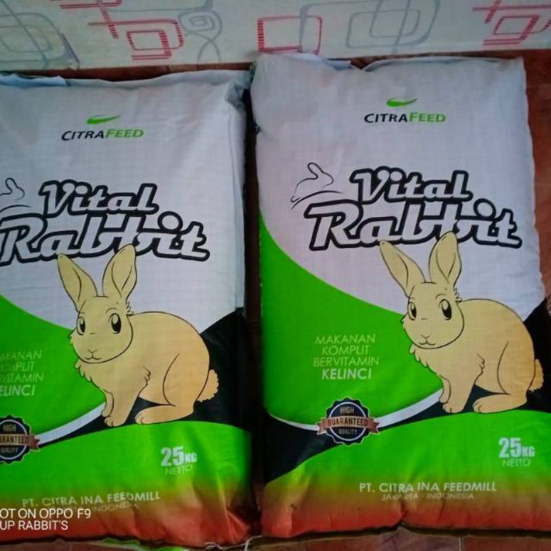 GPSS- Pelet Kelinci Vital Rabbit 1kg Makanan Kelinci Vital Rabbit Pakan Kelinci Vital Rabbit Mainan Kelinci Tempat Makan Kelinci Rumput Hay Kelinci Vitamin Kelinci Pelet Kelinci 1kg Snack Kelinci Hay Kelinci Rumput Kelinci Pelet Kelinci 25kg Kelinci Mini