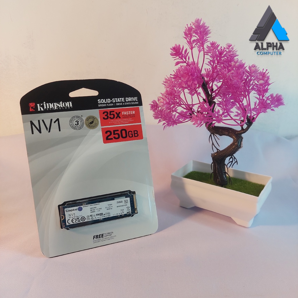 Kingston SSD NVMe M.2 2280 NV1 250GB