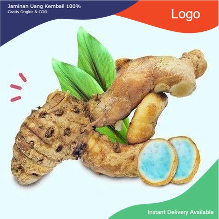 

Promo Temu hitam basah segar 250 gram kunyit kunir temu ireng siap ambil ke kebun