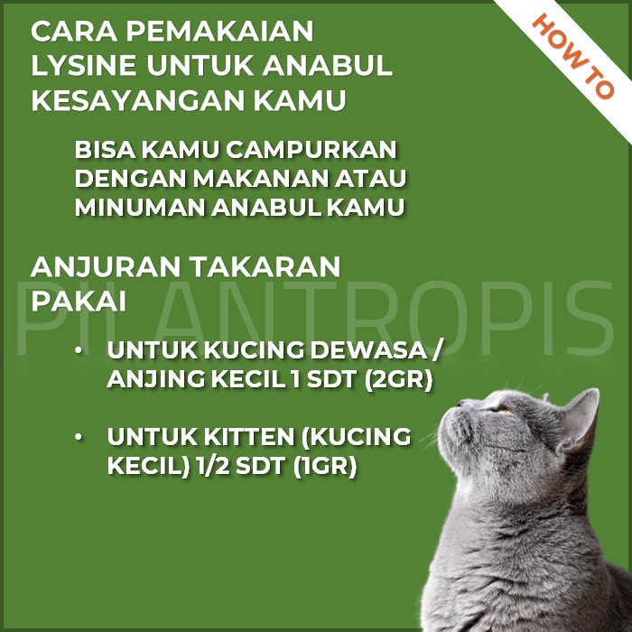 KAREIN LYSINE VITAMIN KUCING PENAMBAH NAFSU MAKAN KUCING ANJING SUPLEMEN OBAT PENGGEMUK KUCING MURAH