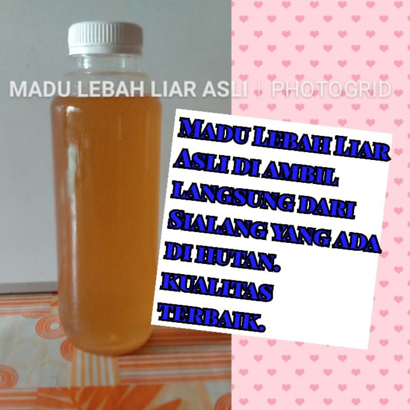 

Madu Lebah Liar Asli