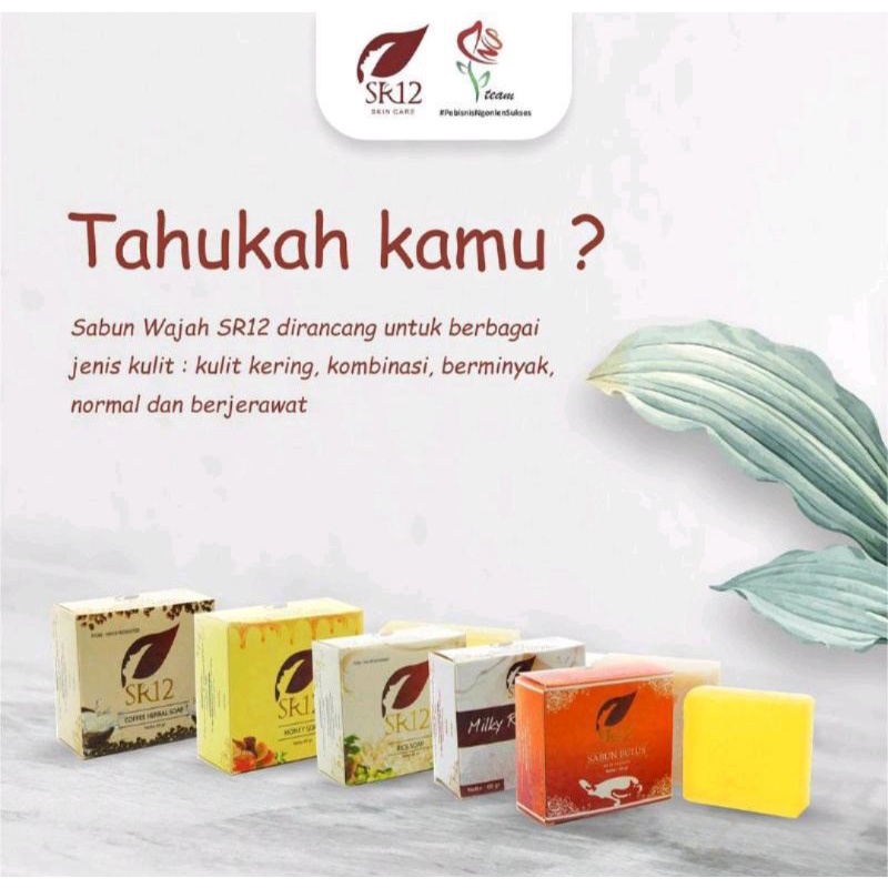 TERLARIS HERBAL SOAP SR12 SABUN HERBAL / sabun madu / sabun beras / sabun kopi / sabun bulus / sabun susu