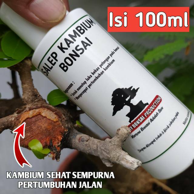 SALEP KAMBIUM BONSAI 100ml